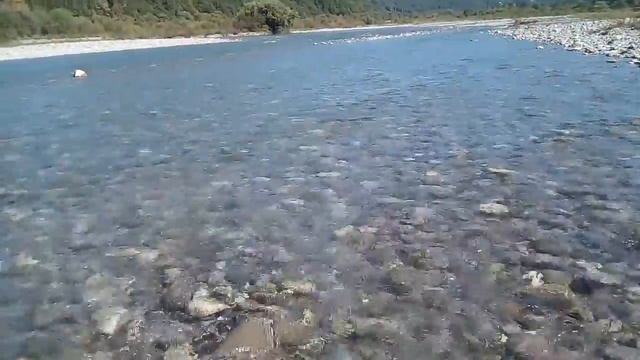 Река Шахе. Кемпинг Туапсе. Позитив. Красота жизни!