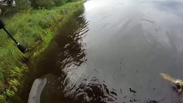 ловля щуки на спиннинг. Витебск смотреть онлайн