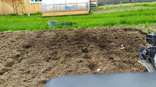 как я сажу картофель смотреть онлайн