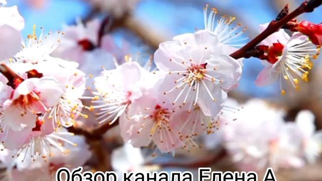 Деревенский ужас очень многодетной мамы. Сбежавшая актриса вернулась в соплях. Истеричка в эфире.