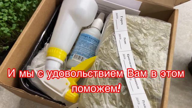 Супер набор для выращивания микрозелени! смотреть онлайн