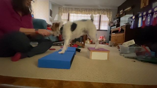 Skipper quick lateral steps смотреть онлайн