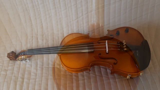 My First 🎻 #Thomann Europe Acoustic Electric #Violin!