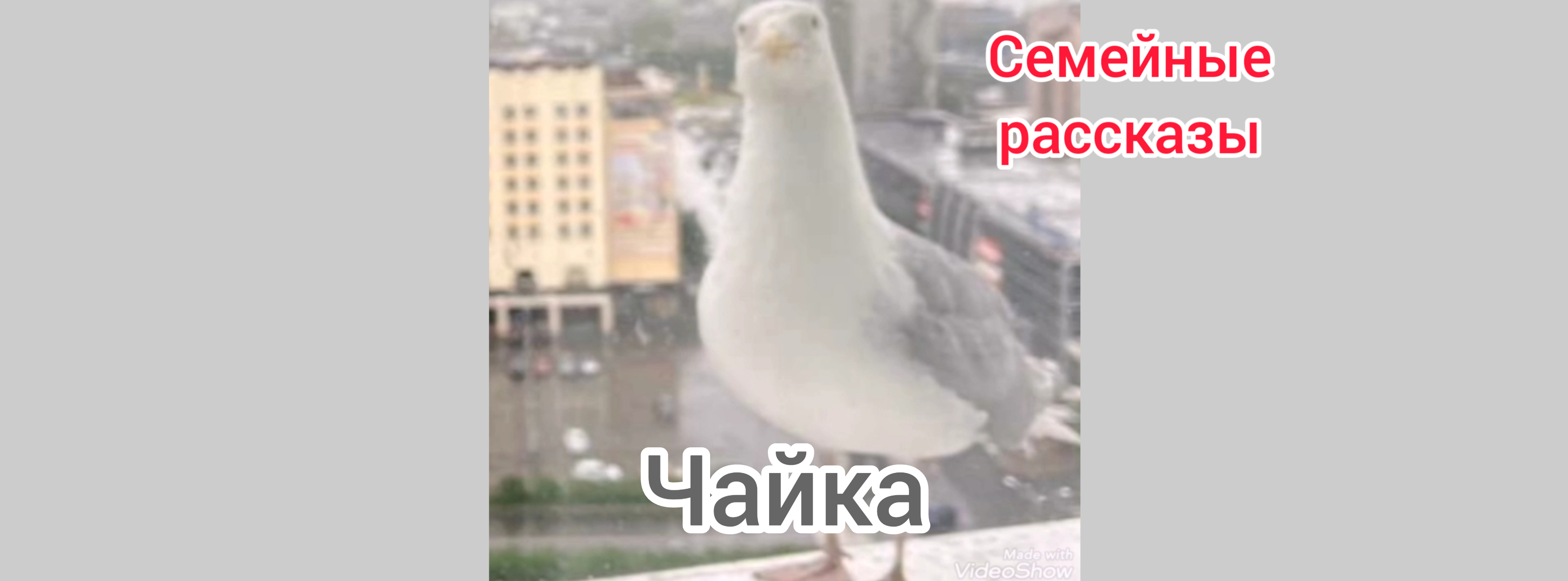Чайка. смотреть онлайн