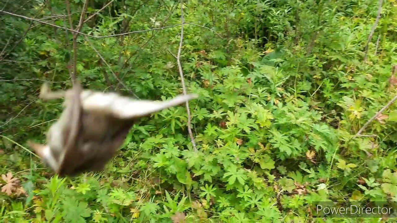 Проверка сети с Алиэкспресс. смотреть онлайн