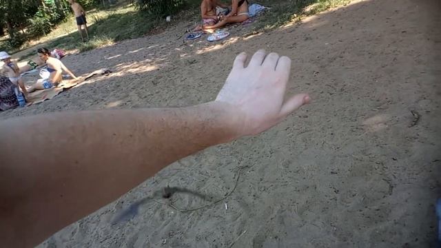 Маленький летучий мышонок смотреть онлайн
