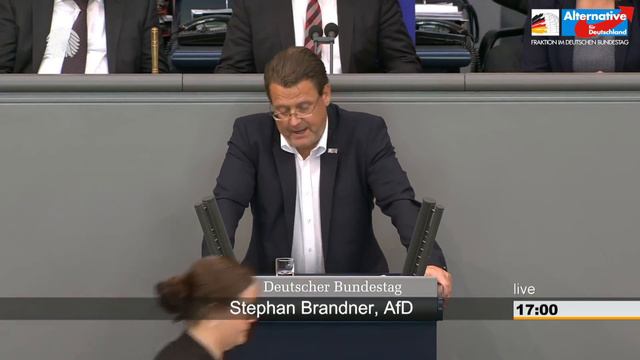 Unsere Demokratie wehrhafter gegen ihre Feinde machen! - Stephan Brandner - AfD-Fraktion смотреть онлайн