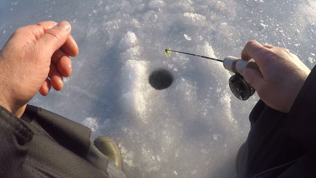 Ловля окуня на балансир Rapala смотреть онлайн