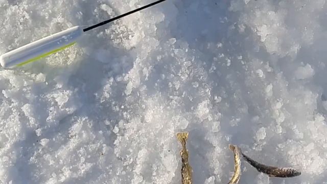 сахалинская рыбалка . корюшка, наважка. смотреть онлайн