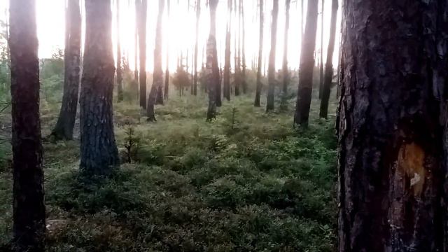 Субботнее настроение... смотреть онлайн