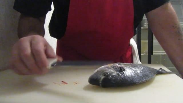 Нож в работе. Быстрый тест для исследования покрытия на клинке из стали Vanadis 60