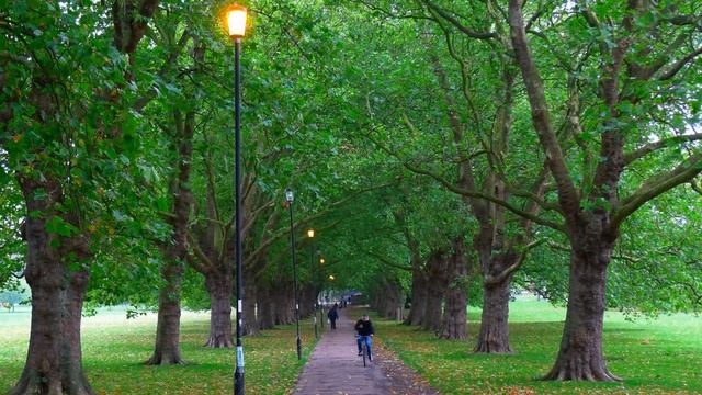 Cambridge -  Cambridgeshire - England