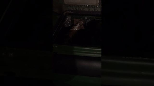 Болотоход тингер касяки двигателя чери. смотреть онлайн