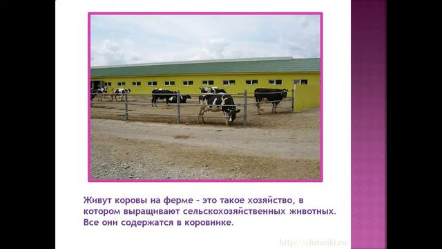 Домашнее животное Корова смотреть онлайн