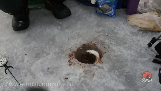 Ловля плотвы весной смотреть онлайн