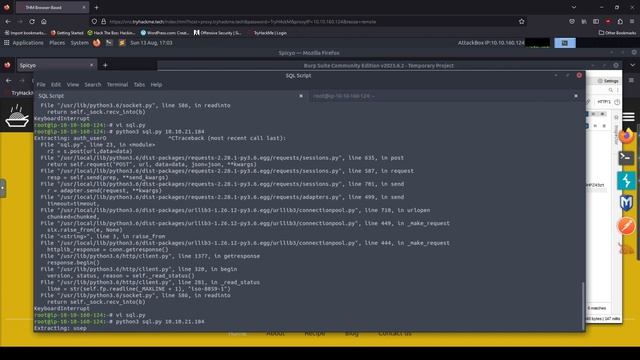 TryHackMe - Crylo (No Sqlmap) смотреть онлайн