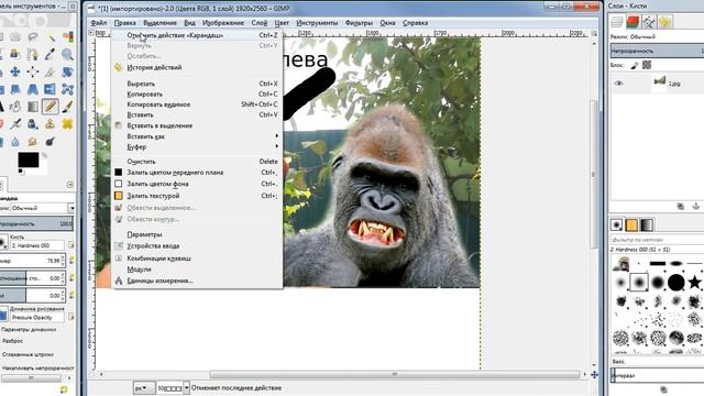 Новый и старый GIMP.Сравнение.Чем лучше новый GIMP,чем старый.Да ни чем! смотреть онлайн