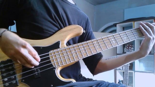 Intervals - Touch and Go (Bass Cover) смотреть онлайн