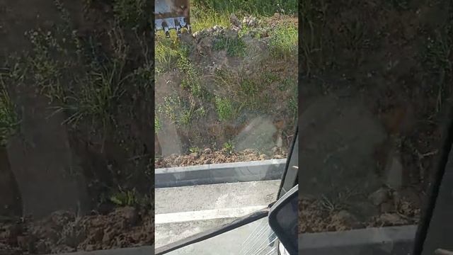 Планировка откосов в Новом Ступино смотреть онлайн