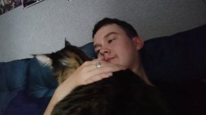 Чем можно и нельзя кормить мейн-куна?