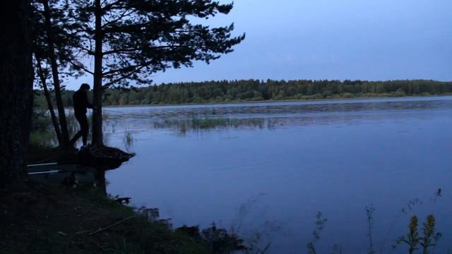 О. "Везения", р. Сурковка , р. Шексна. Череповец и район. Релакс с рыбаком Саней! Memancing-Russia смотреть онлайн
