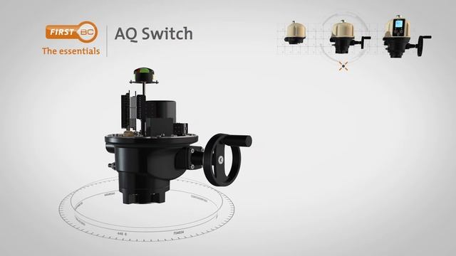 AQ Range Weatherproof Quarter-Turn application - BERNARD CONTROLS смотреть онлайн