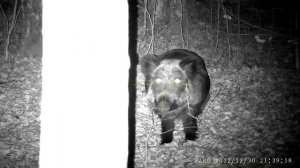 PARD NV-008S  LRF 850nm