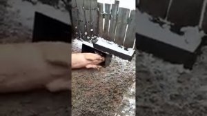 Как режут свинью