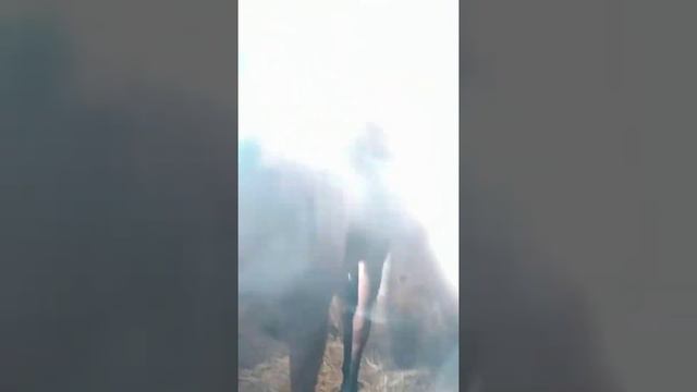 Лошади нашей конюшни. Лаванда, Калибрий, Персея - чистокровные английские. Остальных позже покажу. смотреть онлайн