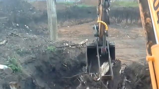 Мини экскаватор HYUNDAI 35. Корчевание деревьев.