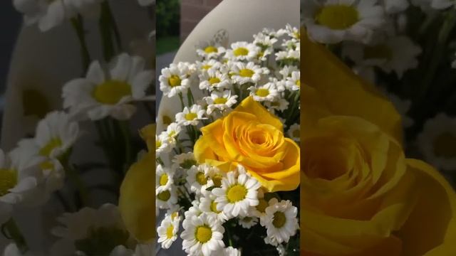 Букет с хризантемами Сантини и желтыми розами ?? смотреть онлайн