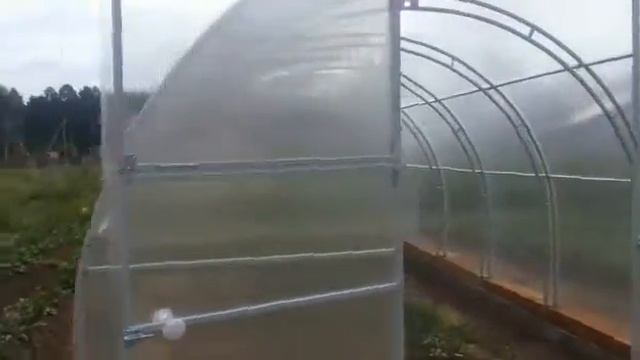 Теплица Фермер 3М, 3х6, фрамуга+термопривод, 23.06.16.