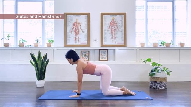 Pilates Glutes and Hamstrings Exercises: 7 minute at home workout смотреть онлайн