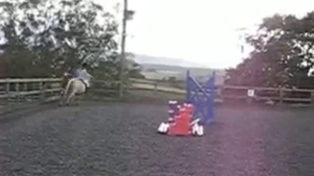 Fjord pony смотреть онлайн