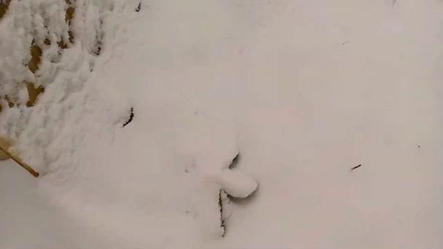 Лег снег и пришли минусовые температуры на Вятку.Октябрь. смотреть онлайн