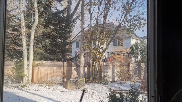 83. Переезд в США. Воровство для всей семьи? Кто носит всё желто-синее. Почему я ною и жалуюсь. смотреть онлайн