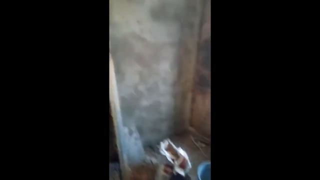 штукатурные работы смотреть онлайн