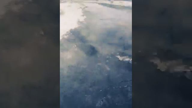 Мы идём испробовать лужу 😘😔😔🙆 смотреть онлайн