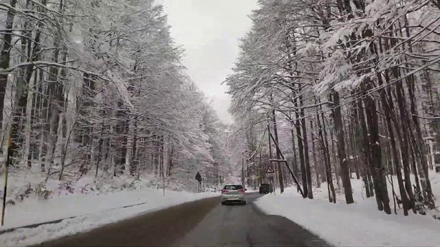 38. Дневник похудения. Отчётное видео.| Прогулка в Доломитах. смотреть онлайн