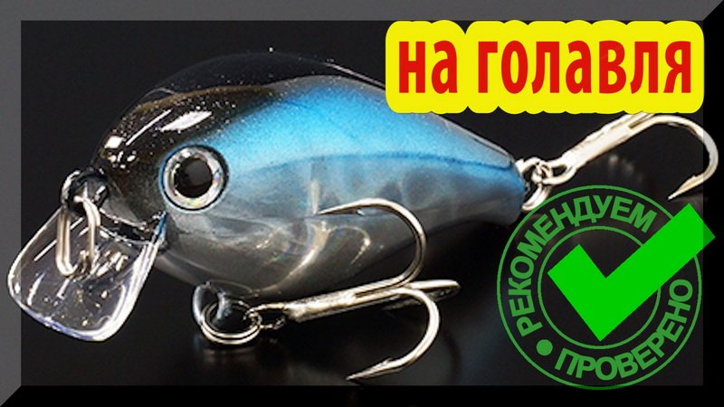 Lucky Craft Clutch SR как воблер для ловли ГОЛАВЛЯ. Достоинства и недостатки... смотреть онлайн