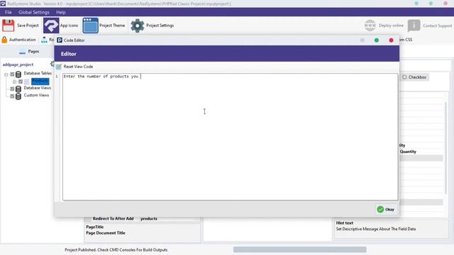 Configuring Hint Text in Input Field Properties | Low Code | RadSystems Studio смотреть онлайн