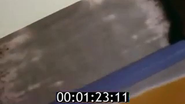 Polaroid (Полароид)