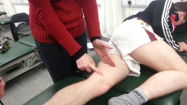 Adductors and Gracilis смотреть онлайн