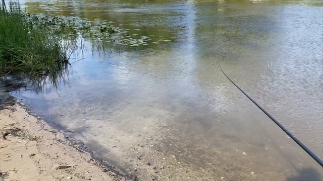 Kuidas loodida feeder püügil jõe põhja? смотреть онлайн