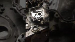 #ПРИМУСАВТО-Проверка масляного насоса V9X