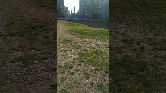 Радий почему в Уфе ставят лифты с Белоруссии а в Беларусию 69нефтеных скважин с Ямала смотреть онлайн