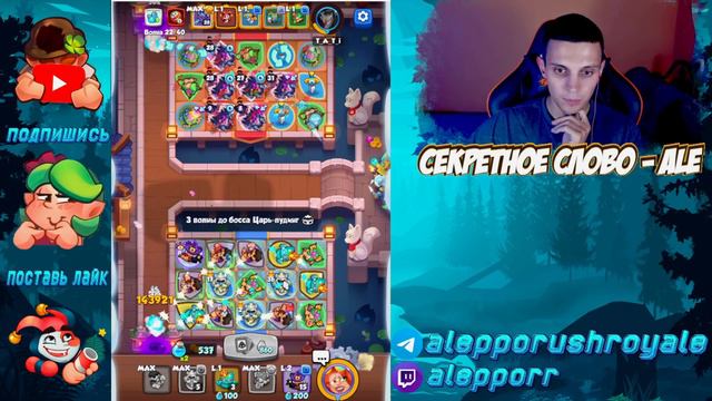 RUSH ROYALE | COOP ПАТРУЛЬ | БОТЫ И НЕПОНЯТНЫЕ СОПЕРНИКИ НА 10 ЭТАЖЕ | ALEPPO