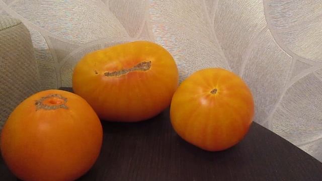 Томат Золотой Бык удивляет меня своей лёжкостью.03.10.2019 смотреть онлайн