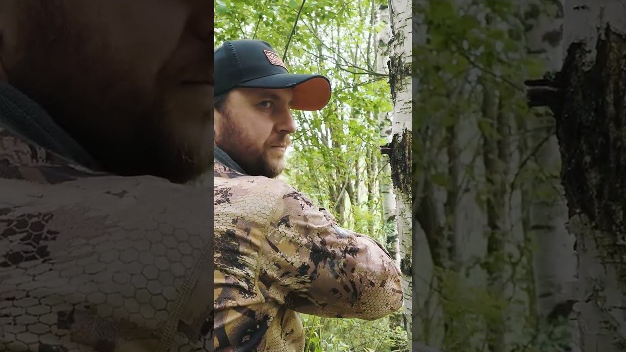 ПОЧЕМУ НЕЛЬЗЯ ОПИРАТЬСЯ ВО ВРЕМЯ ОХОТЫ? смотреть онлайн