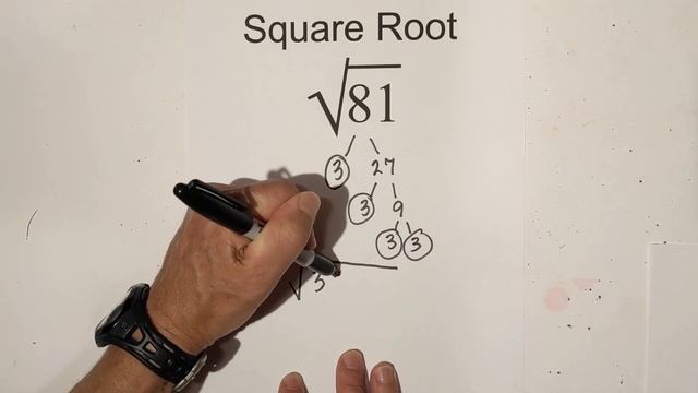 Square Root of 81 смотреть онлайн
